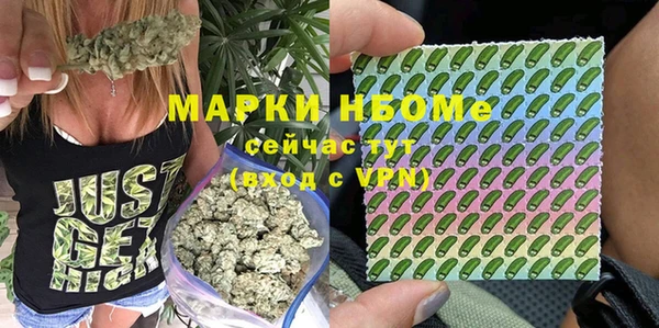 индика Белоозёрский